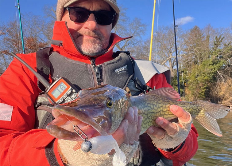 fishing for pickerel in winter