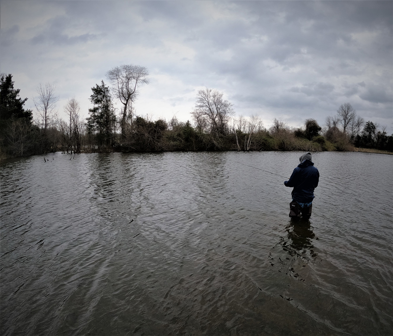 fishing weather