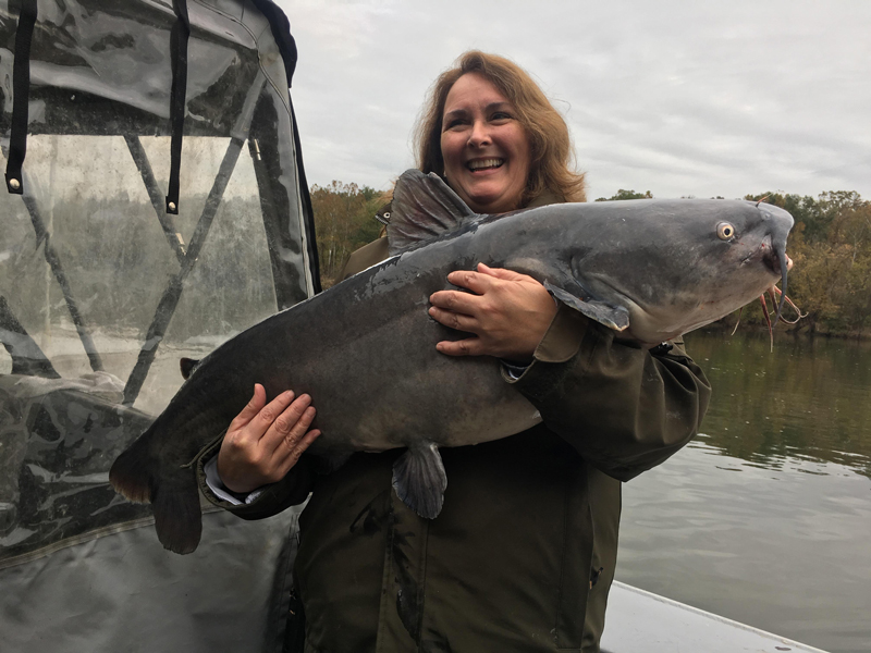 monster blue catfish from the james river