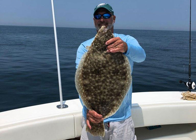 big flounder fish