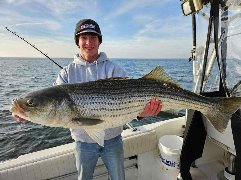 trolling for striped bass Chesapeake Bay