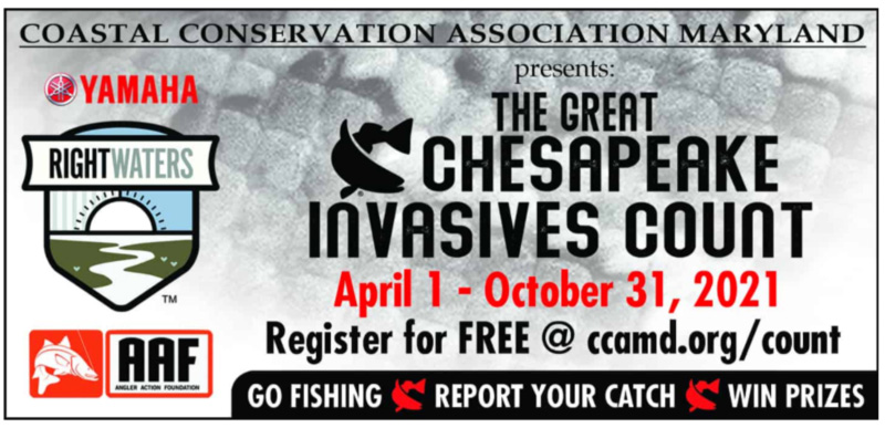 cca maryland invasive fishing tournament