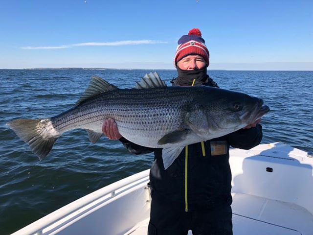 cold weather striper fishing