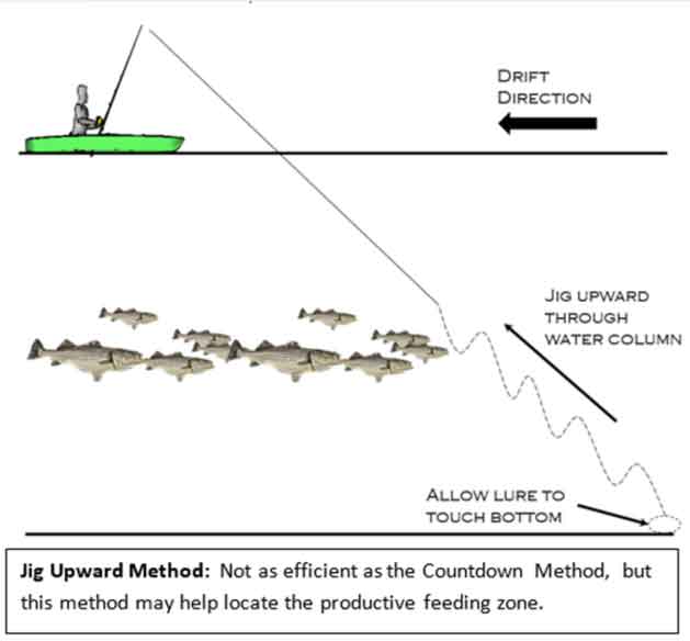 method of jigging for fish