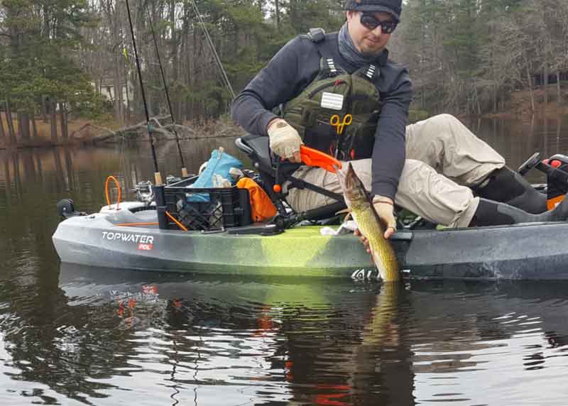 caught a pickerel kayak fishing