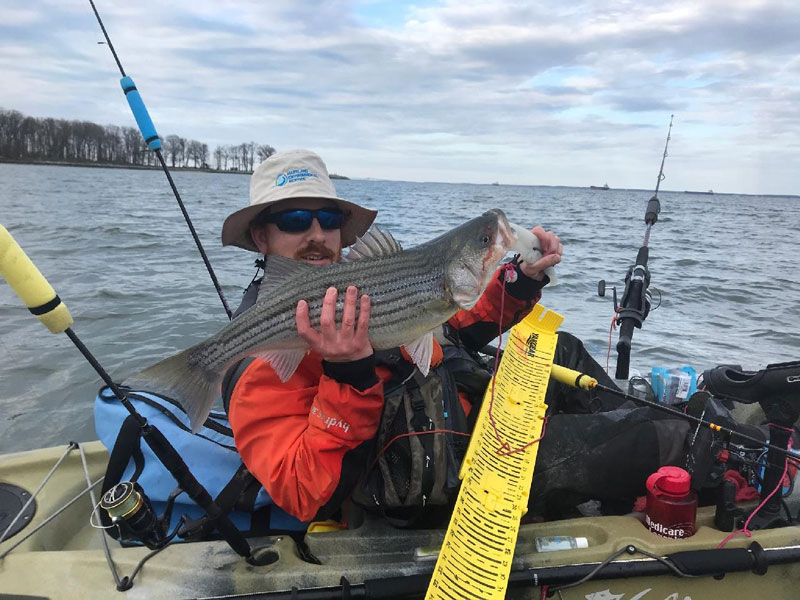 striped bass on a kayak