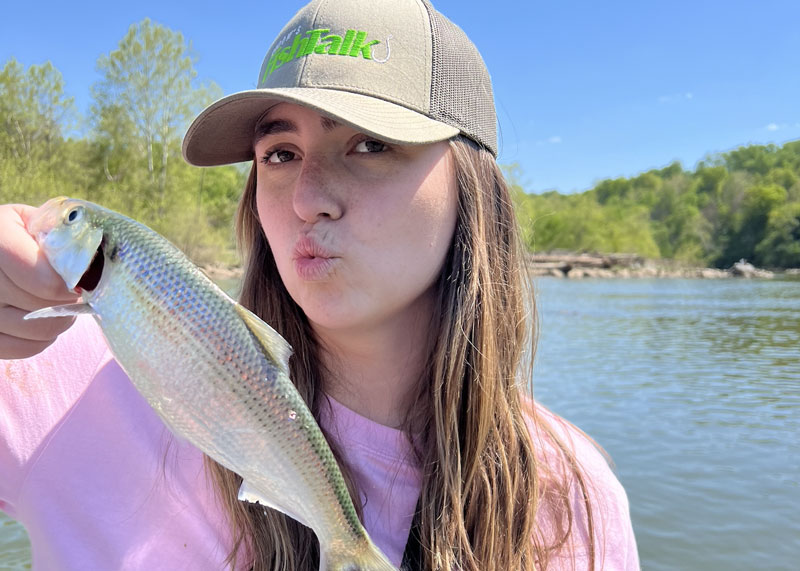 shad run in the potomac