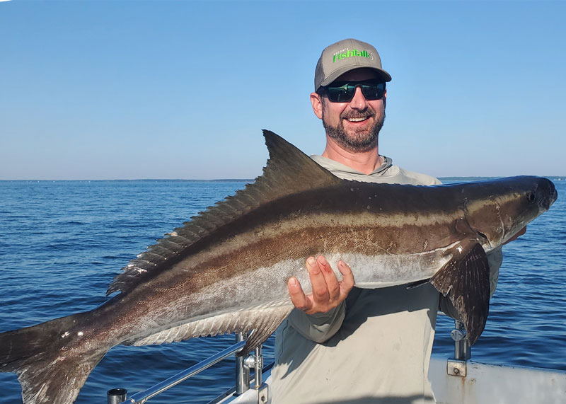 cobia fishing the lower chesapeake bay