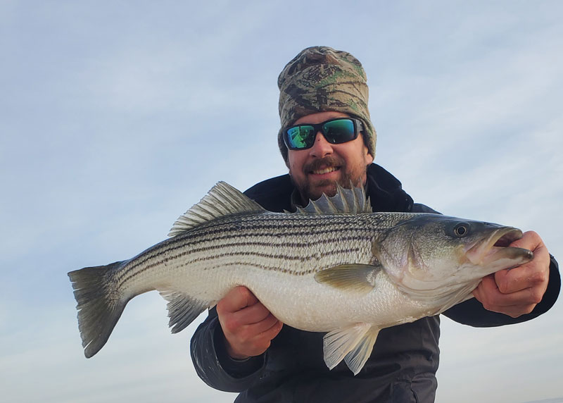 big rockfish in the chesapeake bay