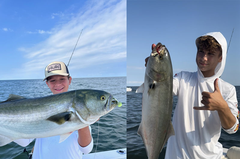 big bluefish in the bay