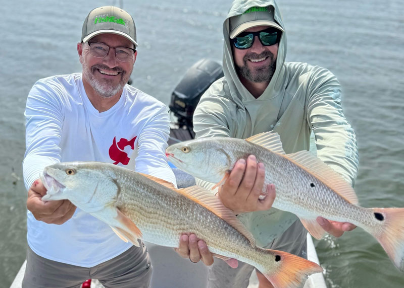 pair of redfish in the lower chesapeake bay