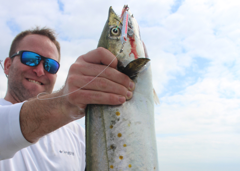 whopper spanish mackerel