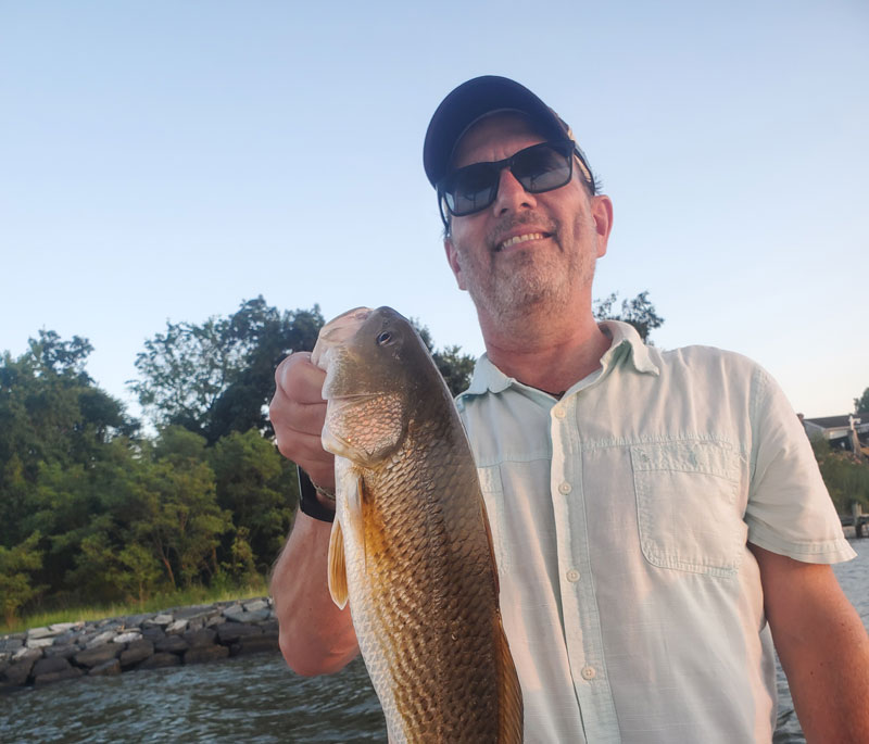 redfish in the south river