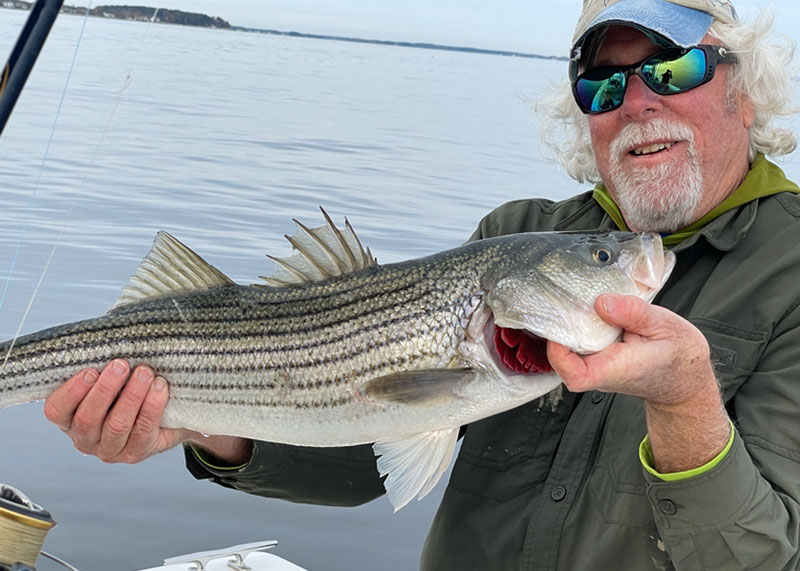 middle bay striped bass fishing