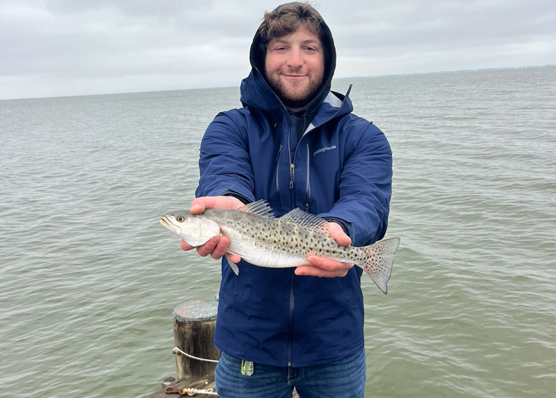 choptank river speckled sea trout