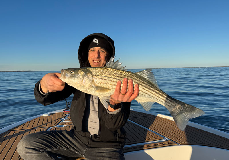 striped bass caught in the middle chesapeake bay