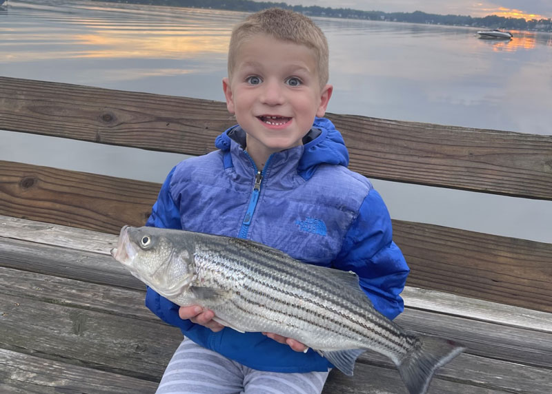 round bay rockfish