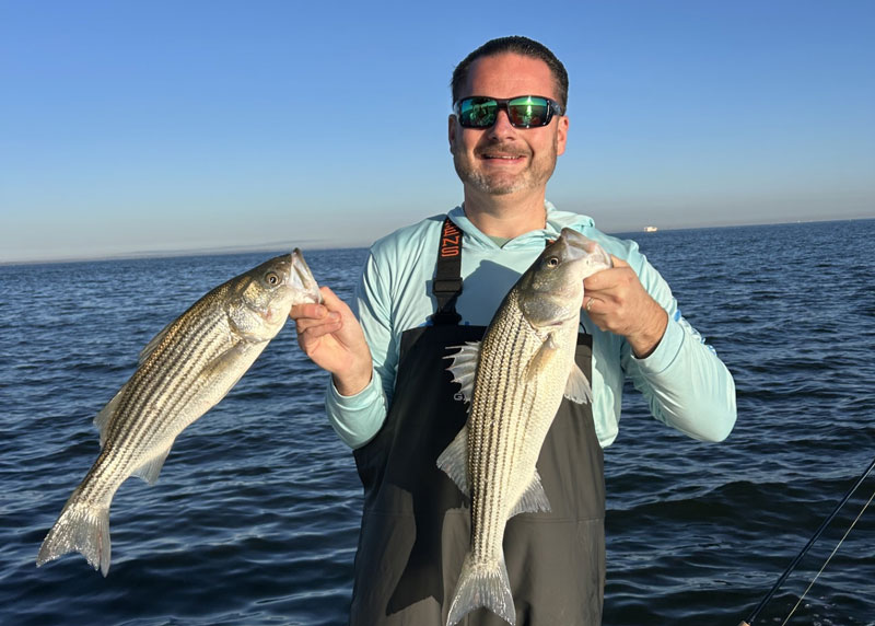 rock fish in the middle chesapeake bay