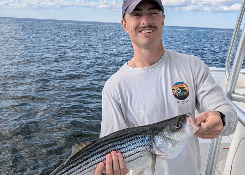 poplar island rockfish