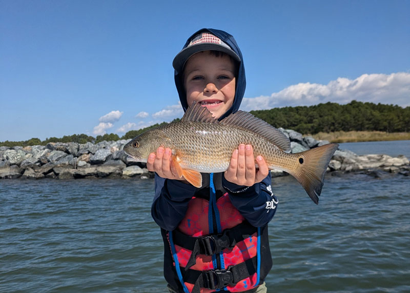 catching middle bay redfish