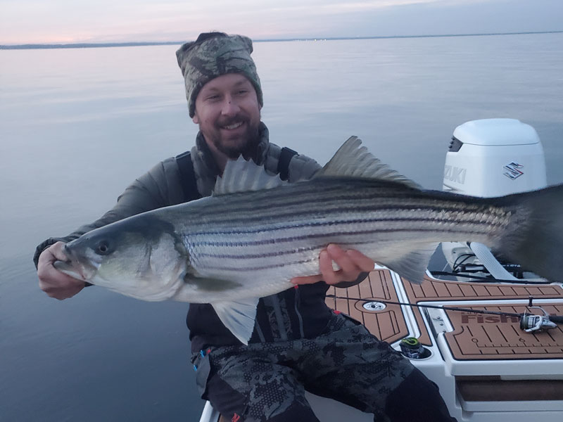 striped bass ont he caymas