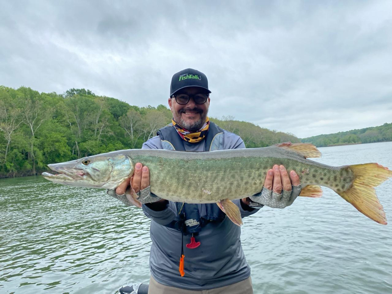 angler holding a muskie