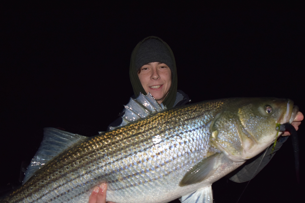 night fishing for stripers