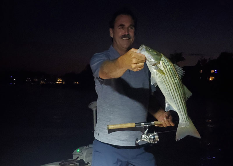 night fishing for striped bass