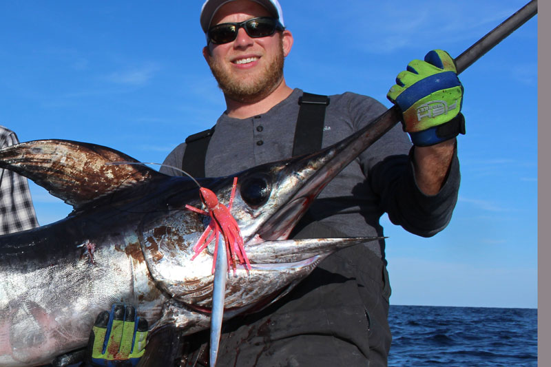 swordfish in the fall