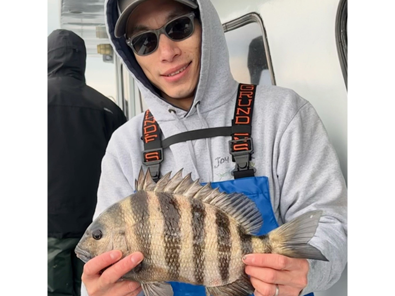 sheepshead in february