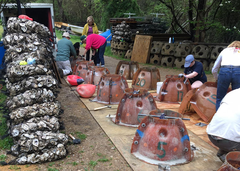 building oyster reef balls