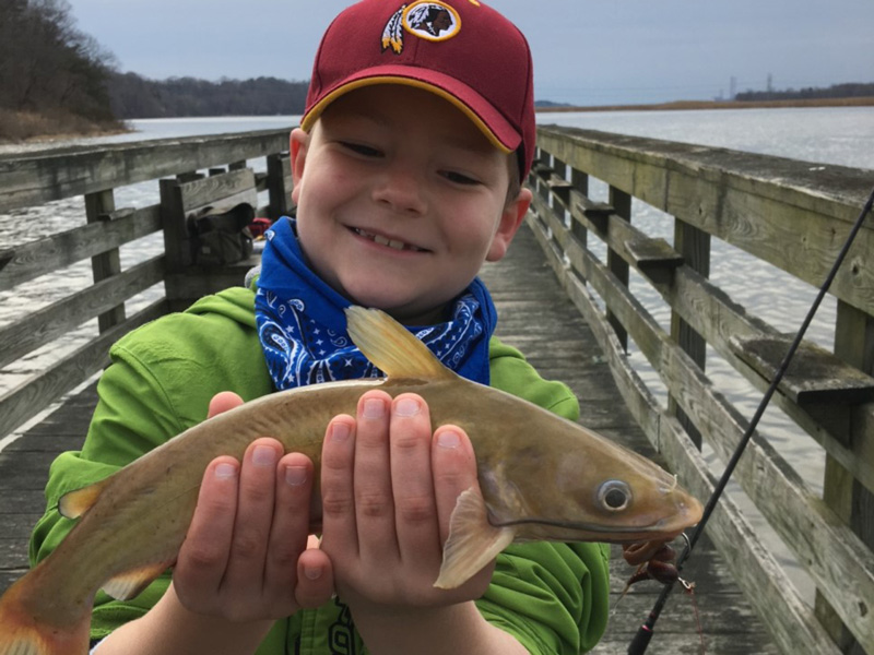 catfish fishing in the patuxen