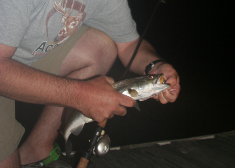 speckled trout on a pier