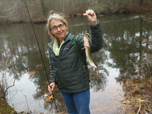 fishing for pickerel in freshwater millponds