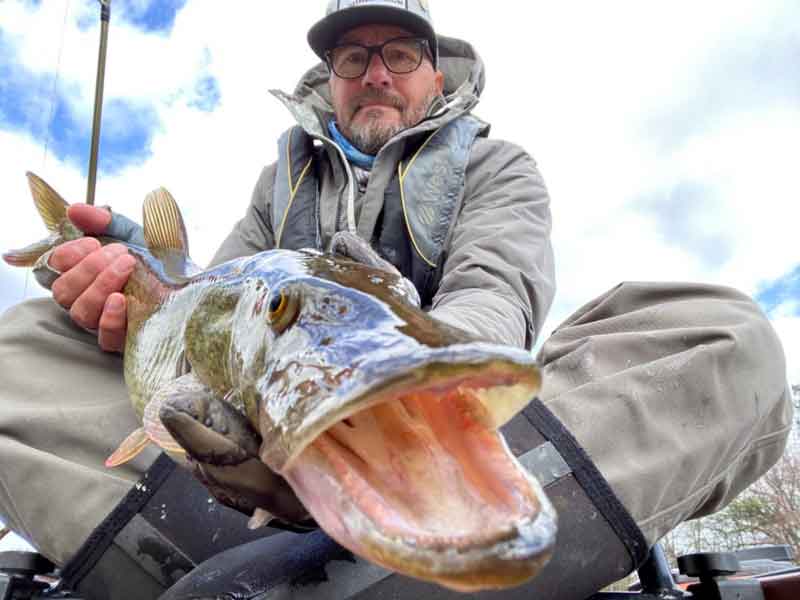 trolling for pickerel