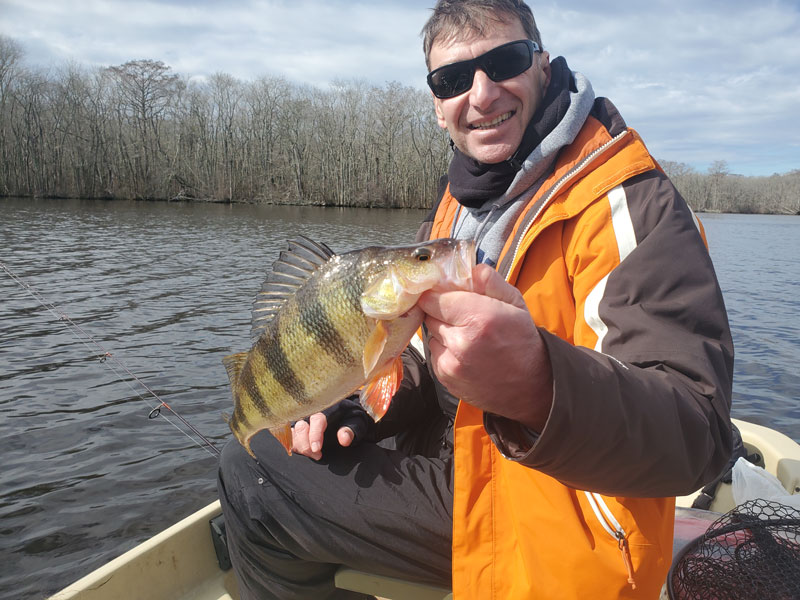 pocomoke river perch fishing