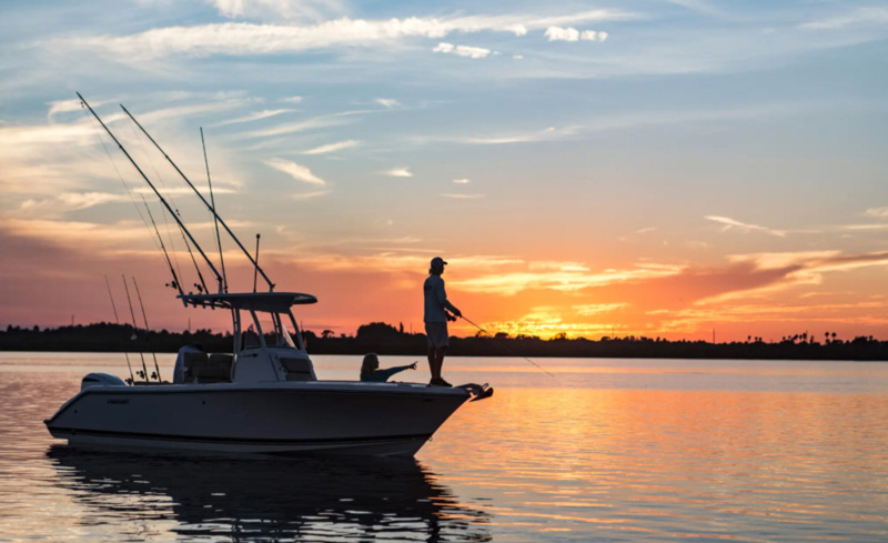 pursuit c238 while fishing