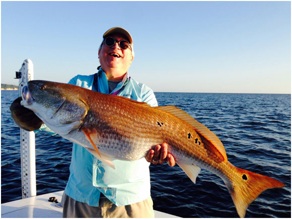 huge red drum