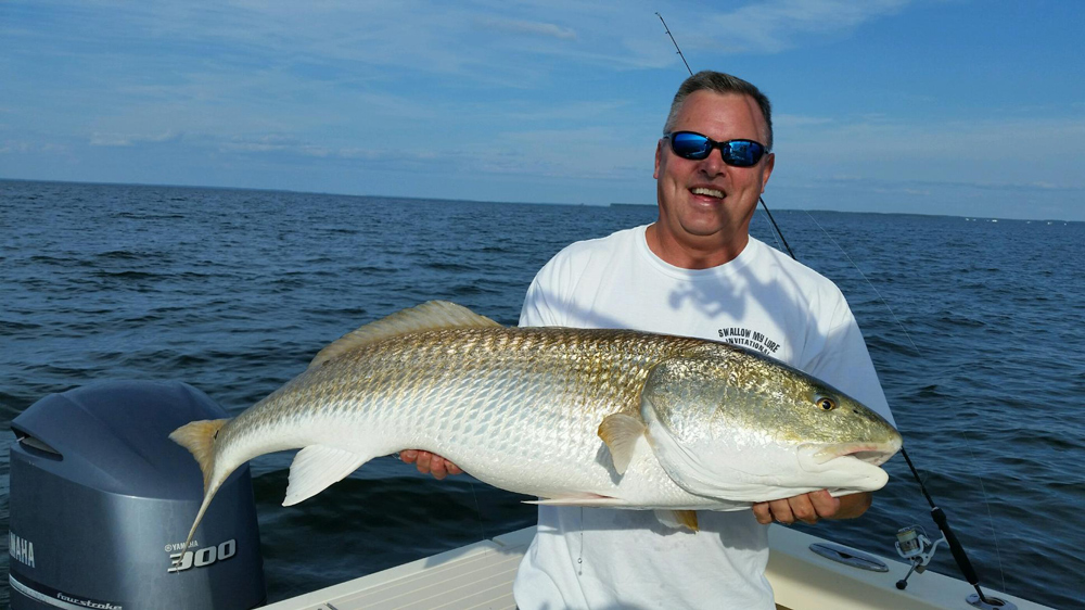 bull redfish in chesapeake