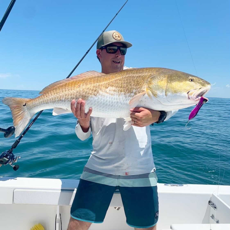 big bull red drum