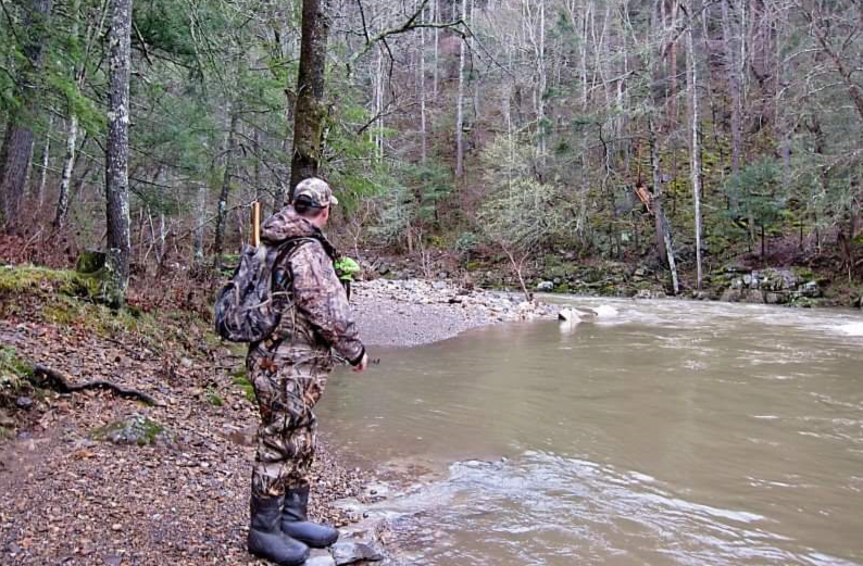 trout fishing in a river