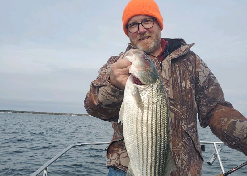 striped bass rockfish