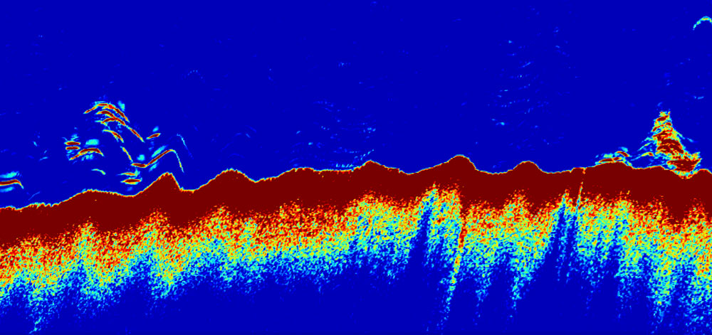 fishfinder for rockfish in chesapeake bay