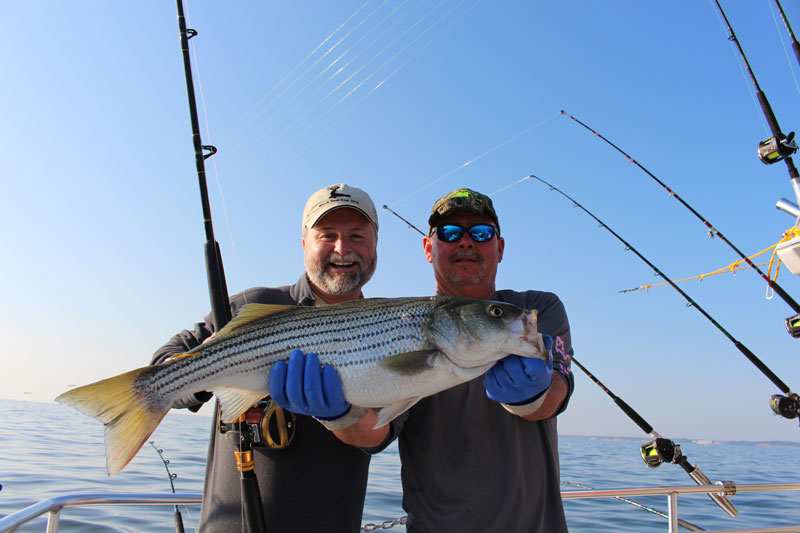 trolling for rockfish