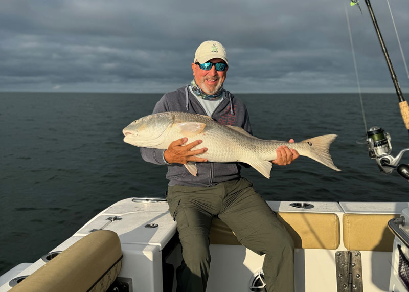 bull redfish from the chesapeake bay