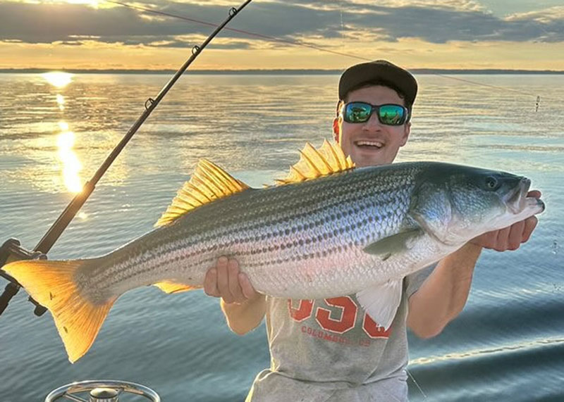 big rockfish caught and released