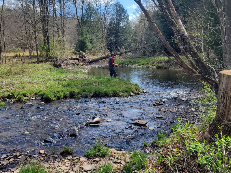 fly fishing savege river