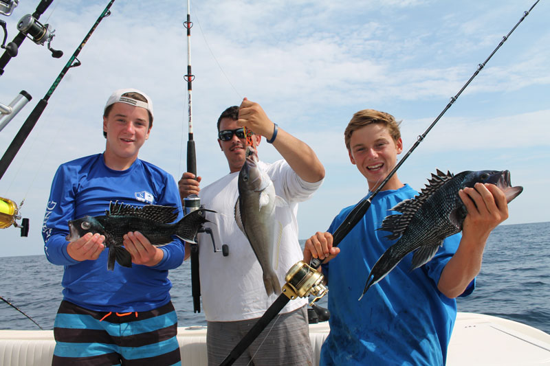 sea bass and blueline tilefish