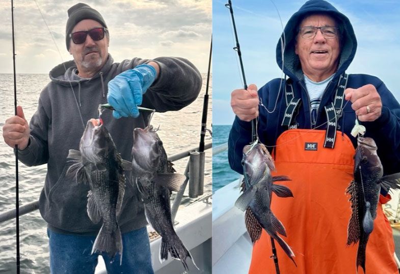 black sea bass caught off the coast