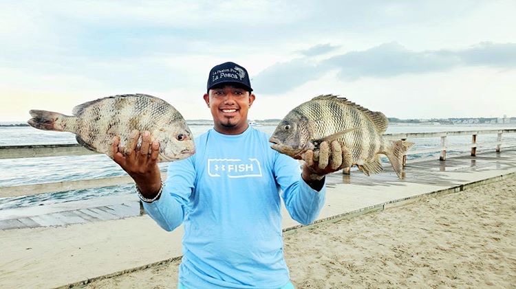 angler holds up sheepshead he caught fishing